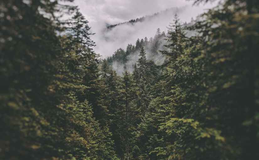 Too Good to be&nbsp;True?